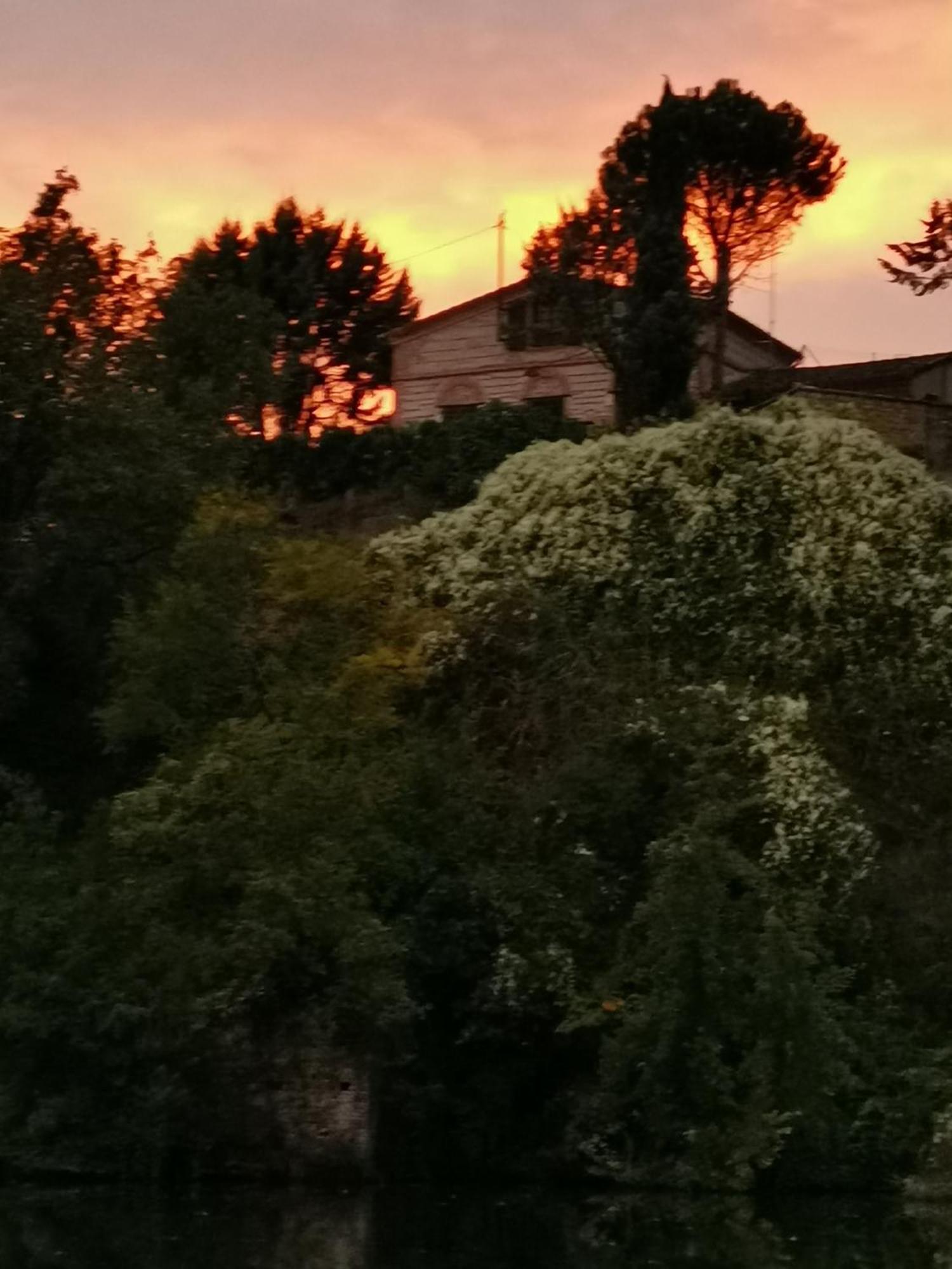 La Planque De L'Eclusier Villa Castelnau-de-Levis Luaran gambar